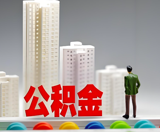 保定委托他人办理需要提供什么证件。